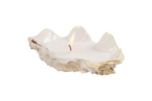 Candle with small natural seashell